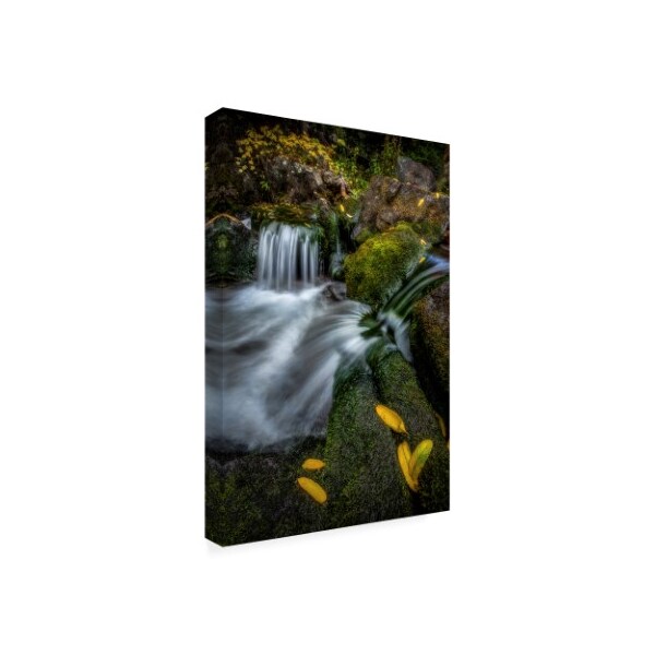 Dan Ballard 'Cascade Waterfall' Canvas Art,22x32